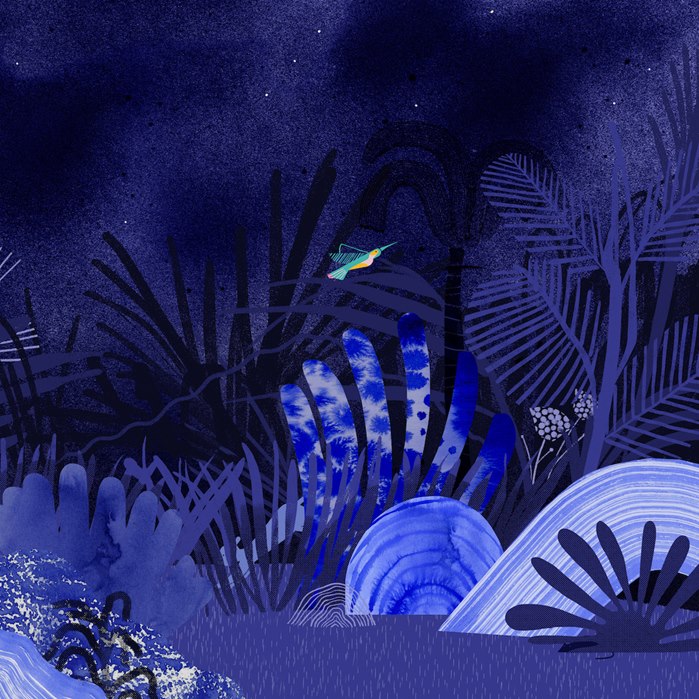 Wild Moon Night Sky digital painting 