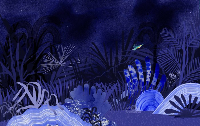 Wild night life nature illustration