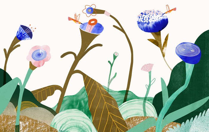Graphic design of flowers illustration