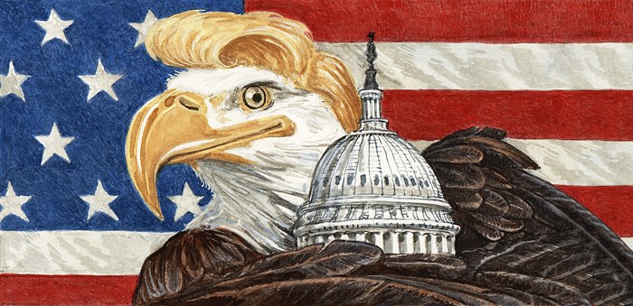 American flag editorial illustration for Swiss magazine Weltwoche
