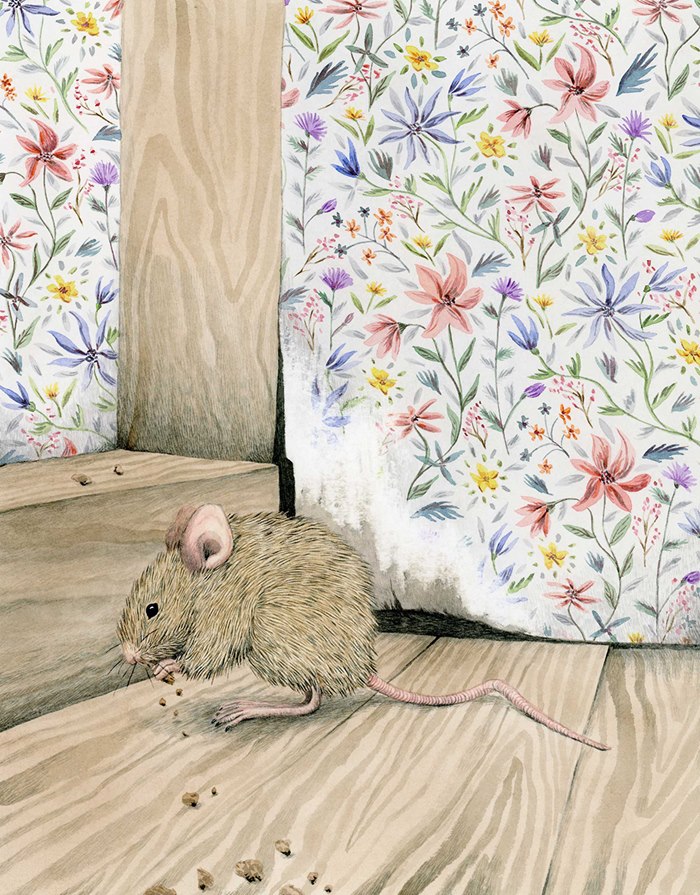 Rat animal illustration 