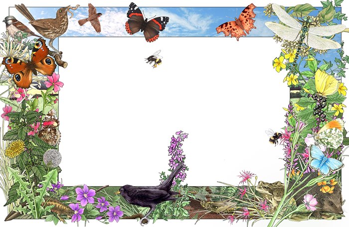 Illustration of drawing page