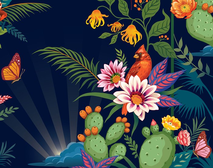 Graphic design of Birds and insects