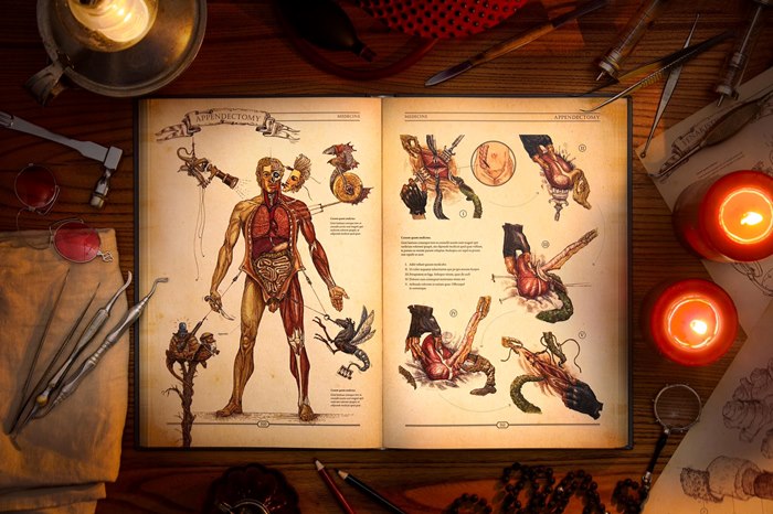 Human body explanation book illustration 
