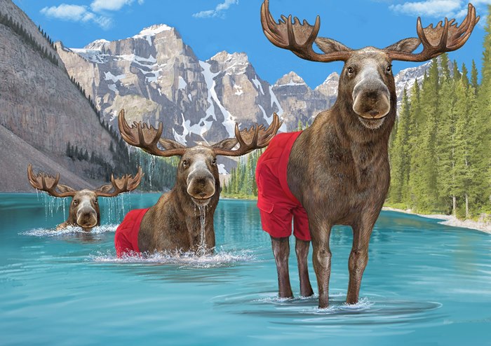 Animal Bull Elk illustration for Duluth Trading Fashion company