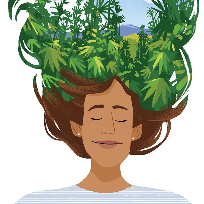 A cannabis e o bem-estar