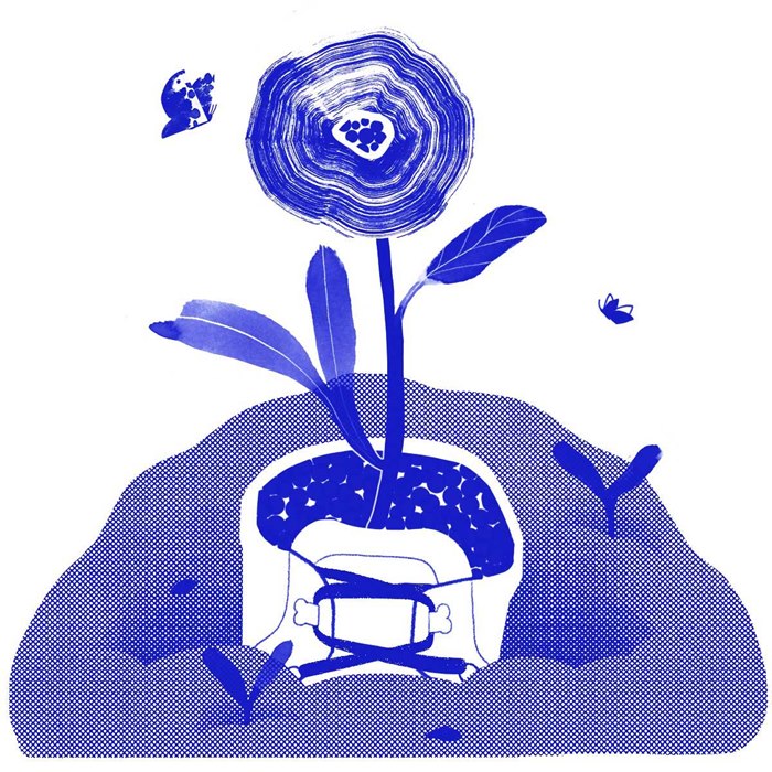 Editorial Rose flower illustration for Travel & Leisure Magazine