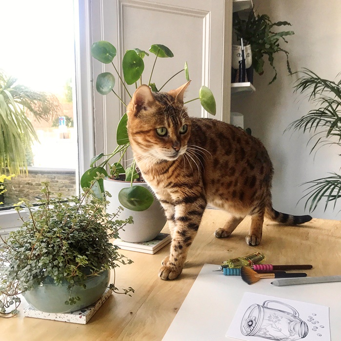 Illustration of a Cat at Lauren Mortimer house