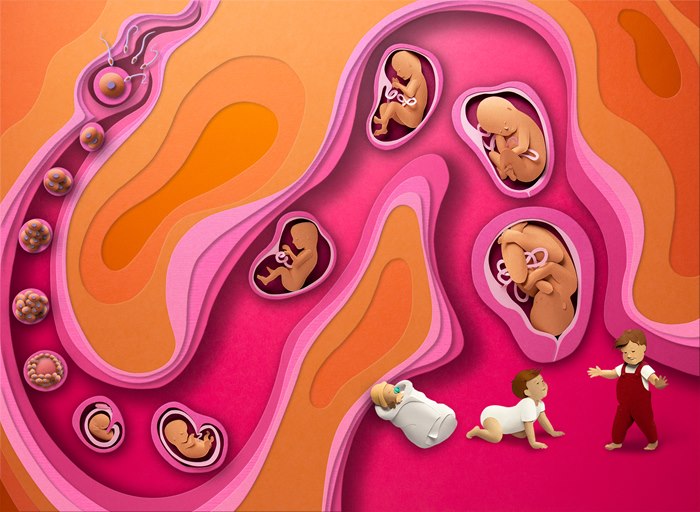 A papercut picture depicting the birthing process