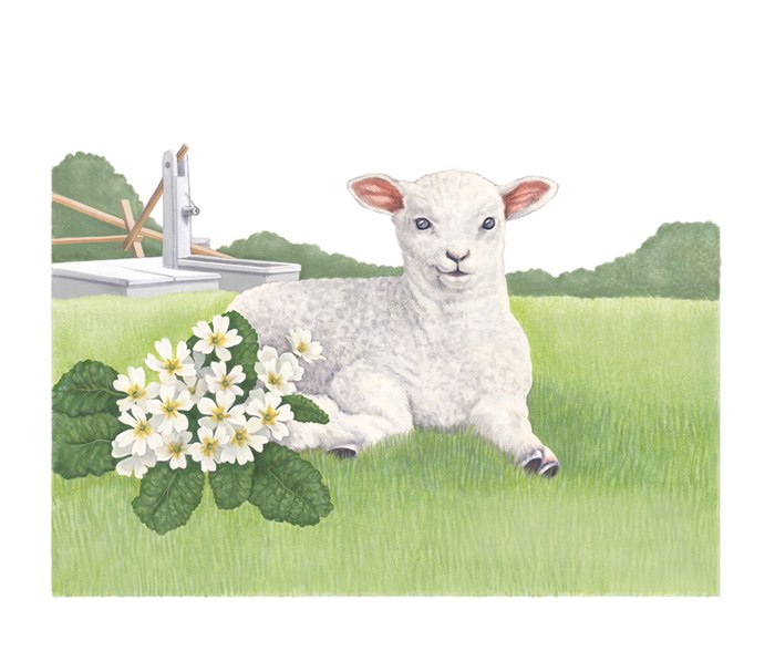 Sabrina Luoni's lamb design for a Jersey Post stamp