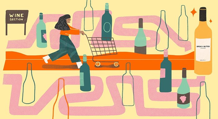 Wine section line and color illustration