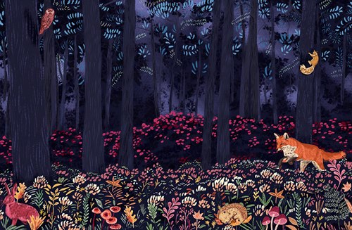 Fanciful Forest