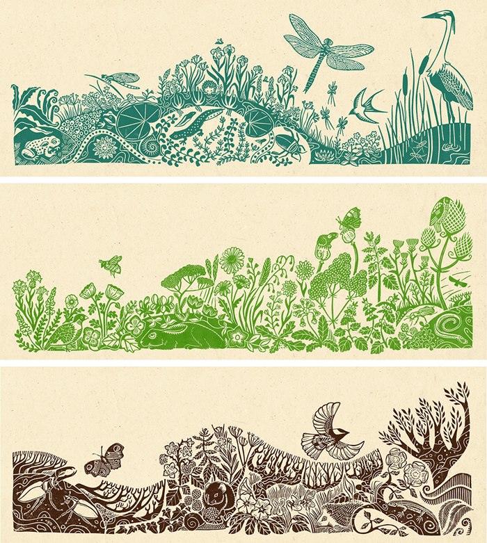 Wood engraving artwork of healthy pond environment