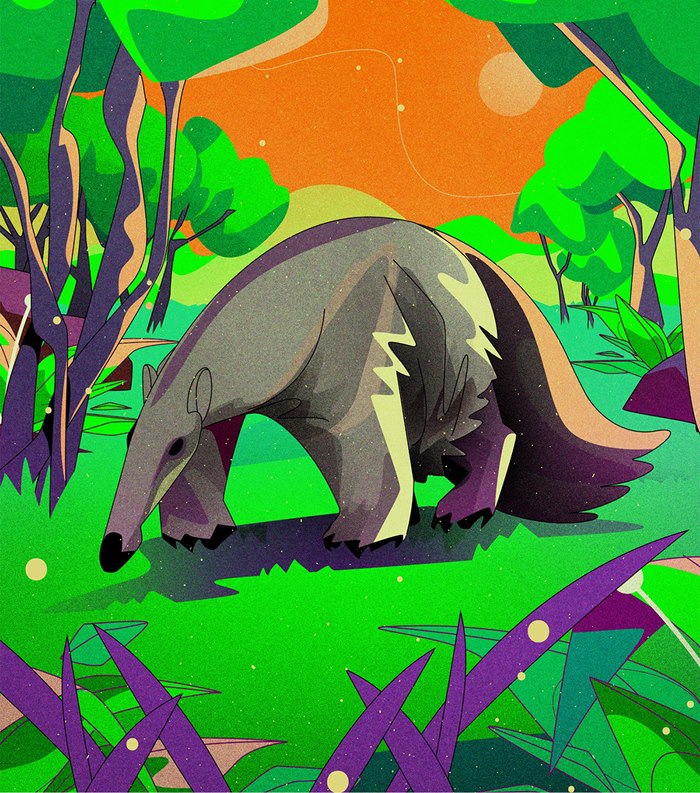 Typical forest wildlife theme illustration