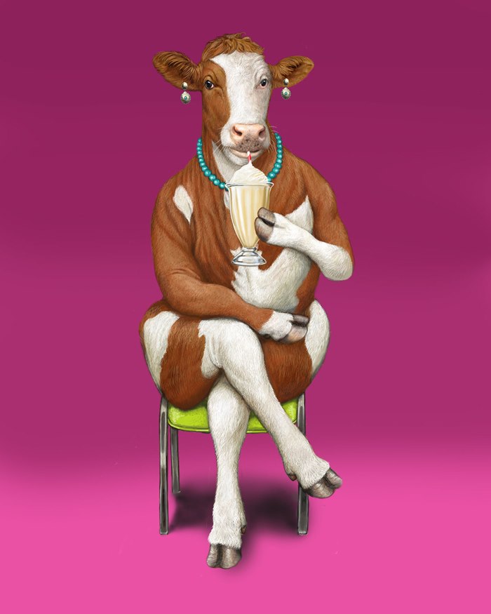 Illustration for a Jymy ice cream commercial