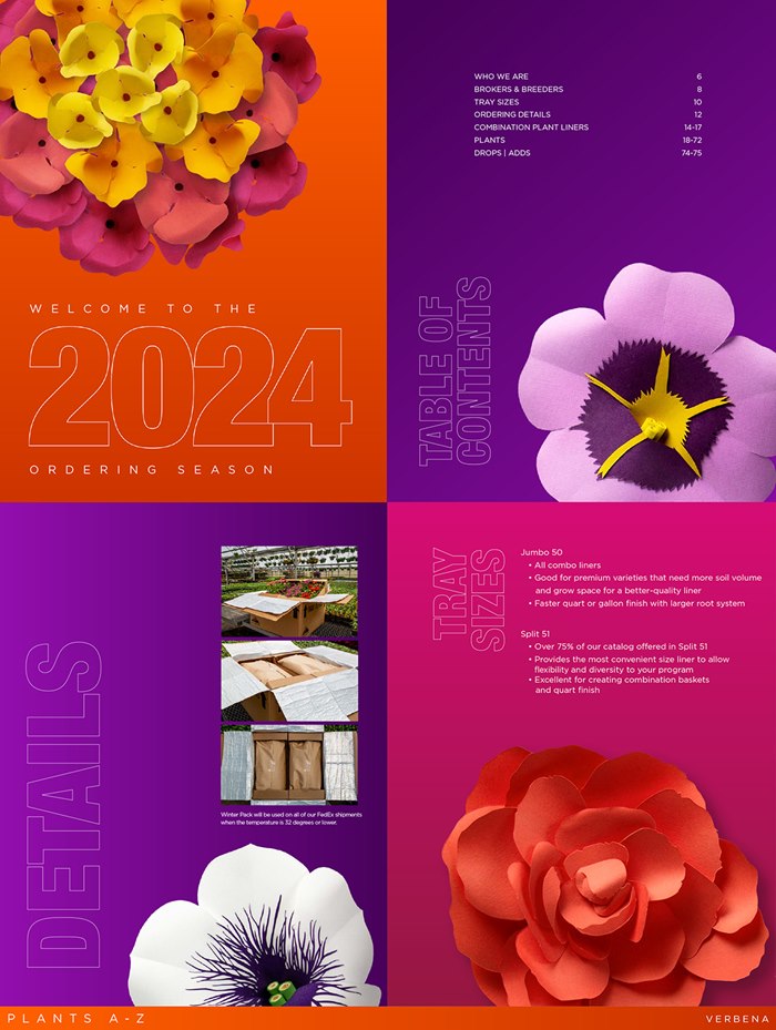 Paper sculpture for Rocky Mountain Liners 2024 catalogue