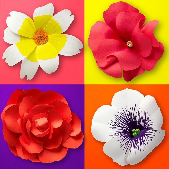 Flowers crafted with paper cuttings