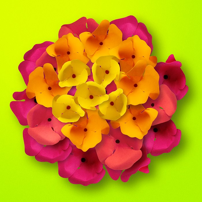 Floral paper cut illustration