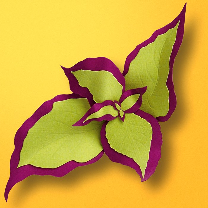 Promotion illustration of RML website