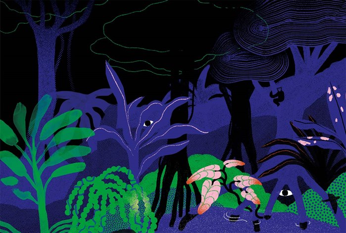 Cover of the "This Wound Full of Fish" book