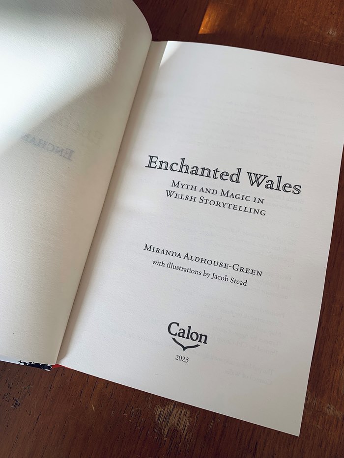 Page illustration for "Enchanted Wales" book