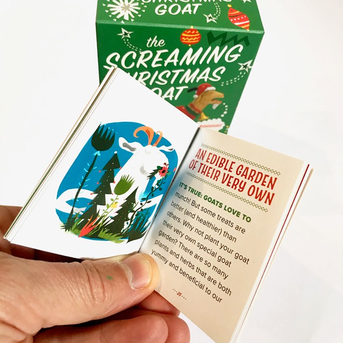Screaming Goat by Lee Hodges is a Hachette christmas release