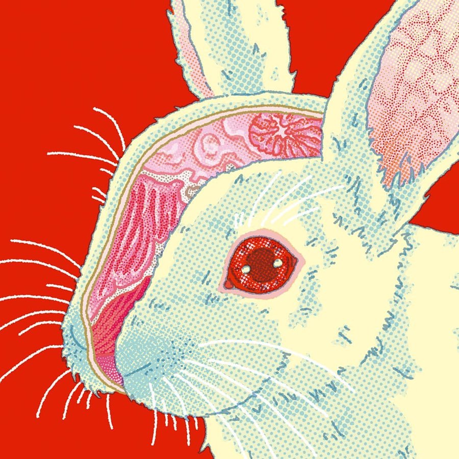 サ*ウ様 「re: rabbit」 油絵　うさぎ サ*ウ様 「re: rabbit」 油絵 うさぎ rabbit」 「re: サ*ウ様