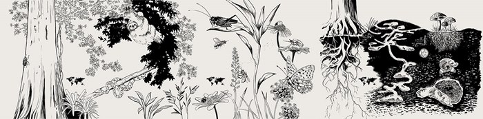 Insect universe sketch for 'Sentir Mundo' exhibit