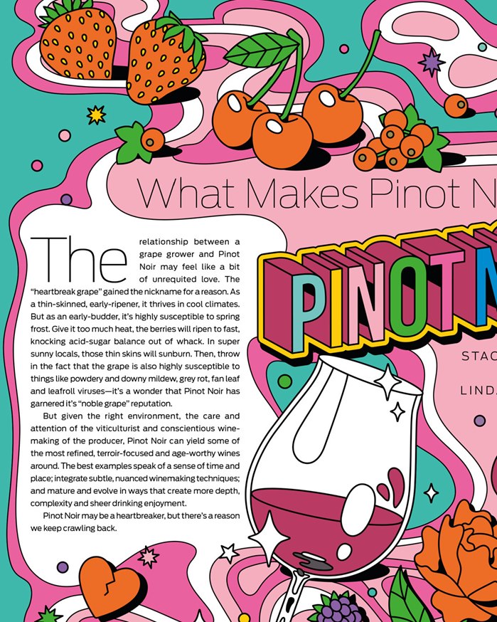 Pinot Noir's essence captured visually in brief