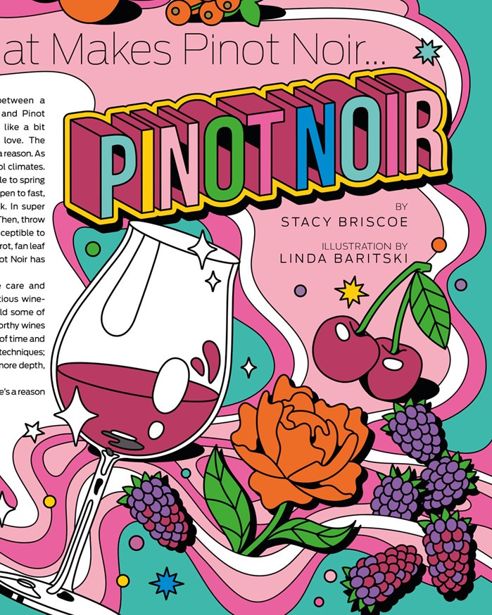 Visualizing Pinot Noir's profile in concise format