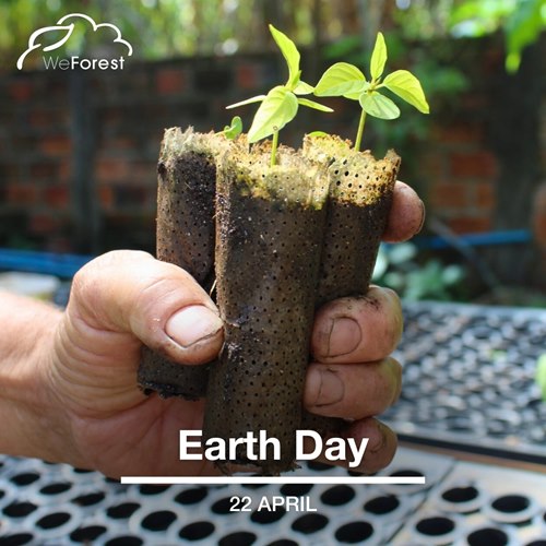 Hoje é o Dia da Terra