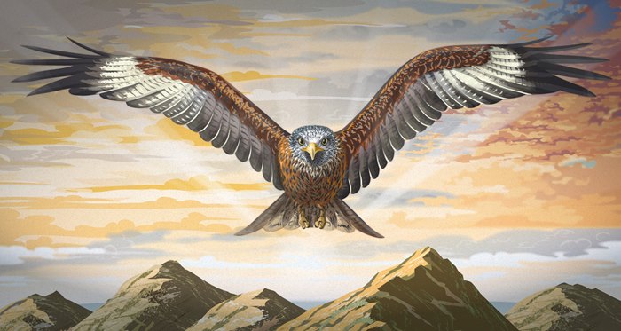 Flying Eagle poster illustration