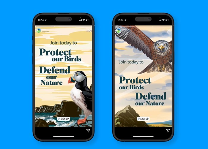 Britain’s native birds advertising illustration
