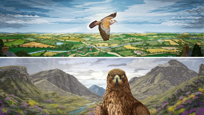 Campaign design of threats facing Britain’s native birds for