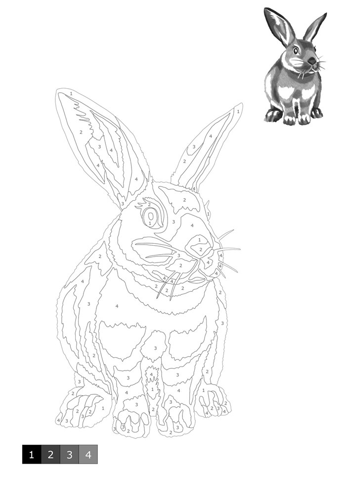 A detailed vector diagram of a rabbit