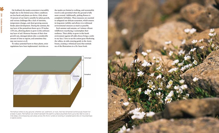 Life on Svalbard Book by Cecilia Blomdahl