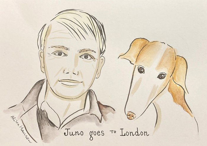 Live event photo of dogs and guests at the Juno Goes to London book launch