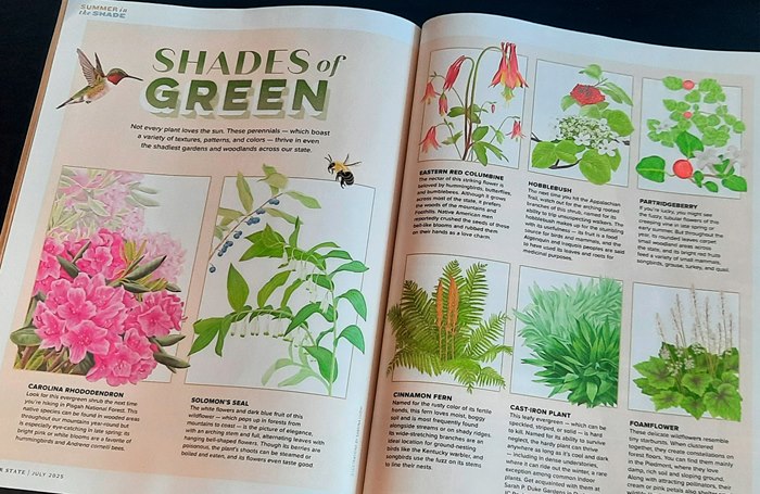 "Shades of Green" article on Our State Magazine