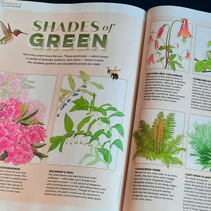 Shades of Green