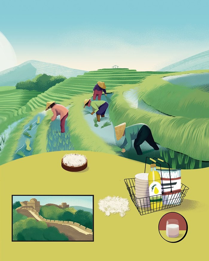 Andressa Meissner illustration for Clive Gifford food history book
