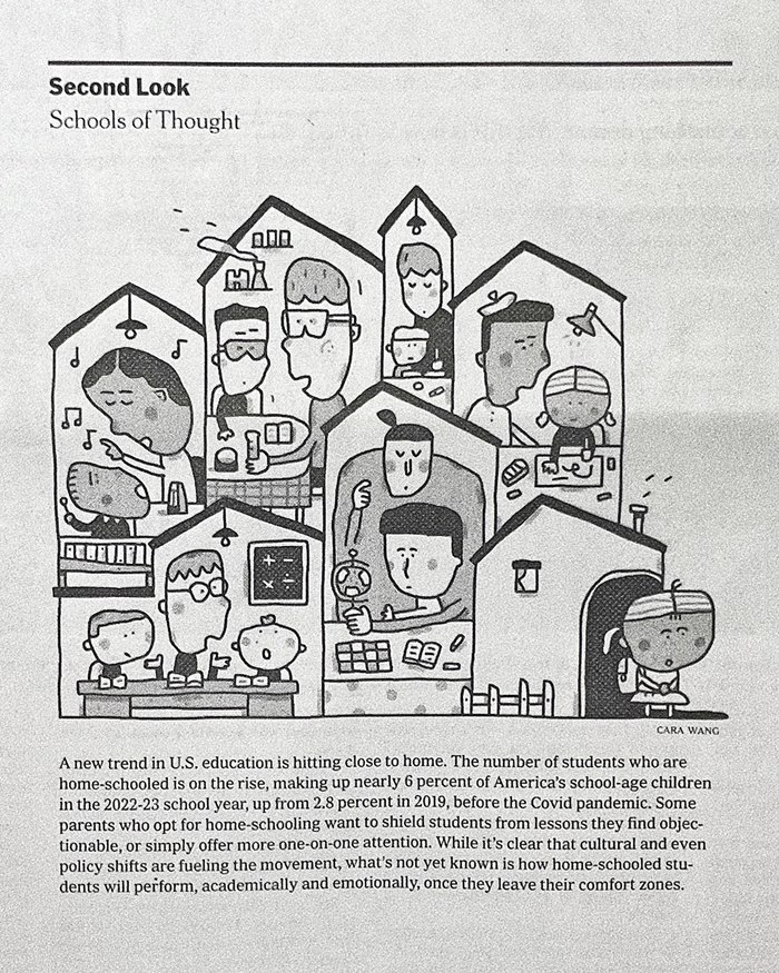 Visual artwork depicting U.S. homeschooling trends