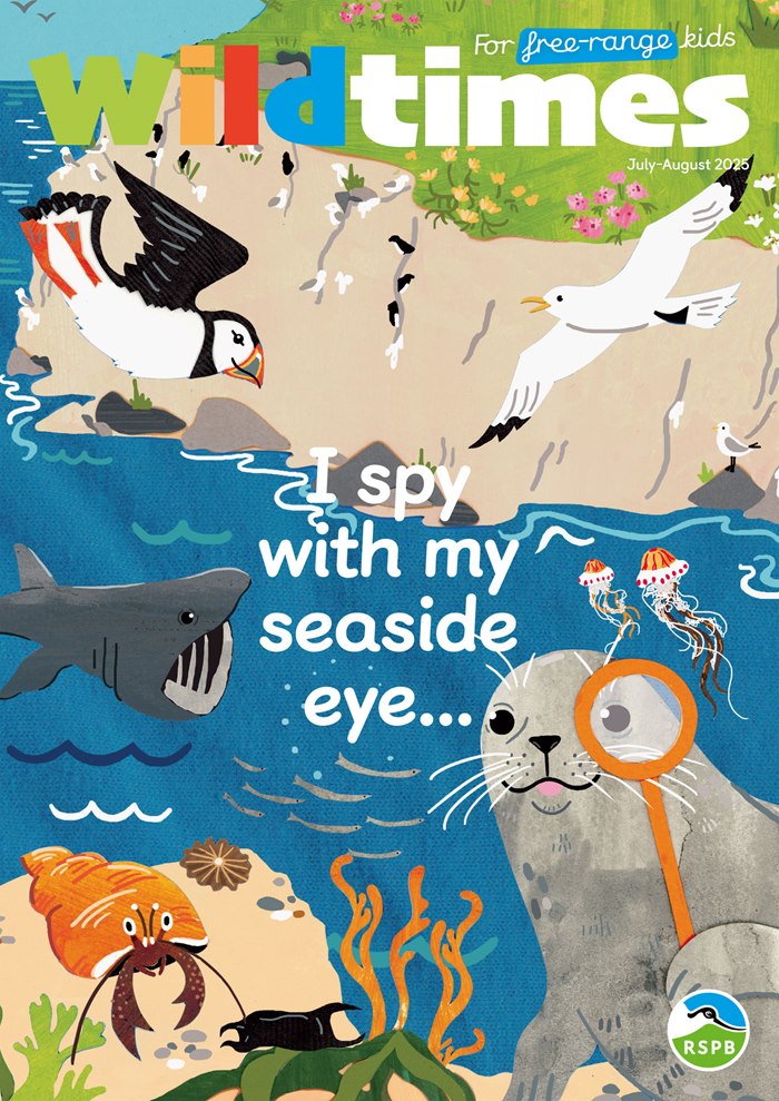 Artwork featuring seal leading through coastal animals