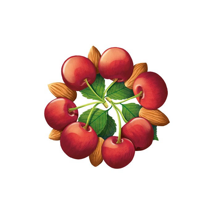 Hand-crafted illustration hazelnuts for Sainsbury’s