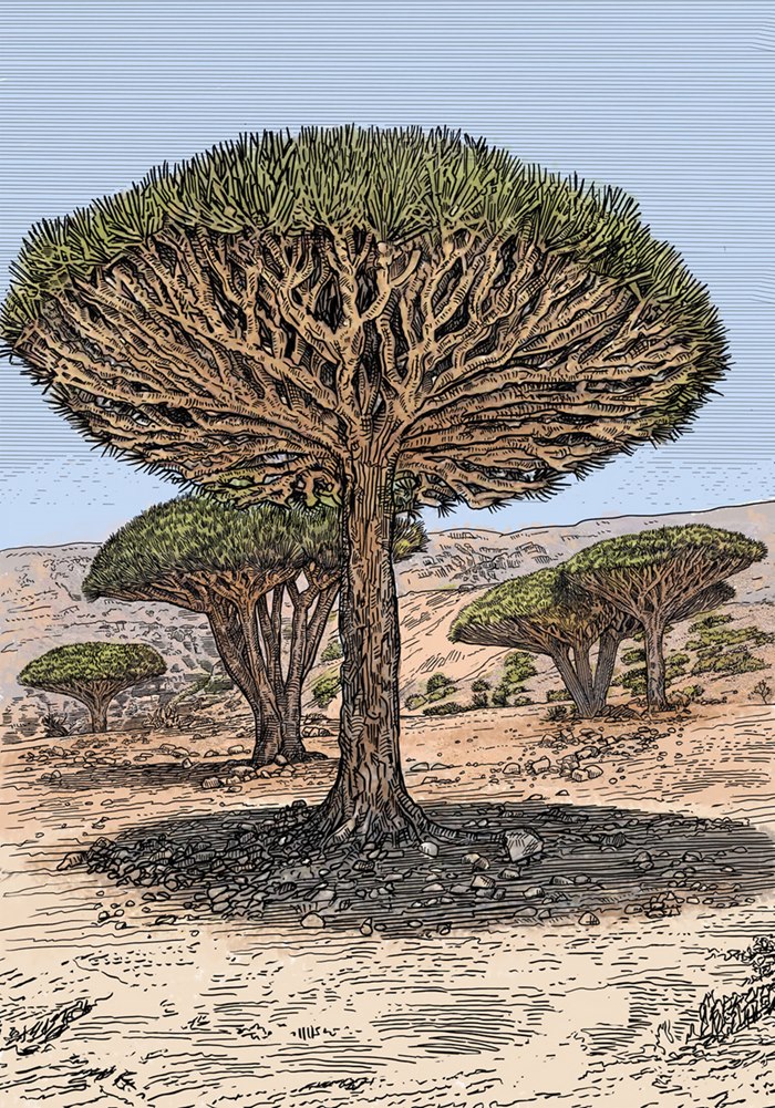 Quarto book illustration of extraordinary islands