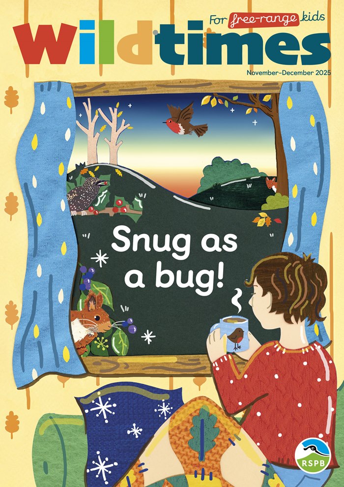 RSPB Children’s Magazine cover design