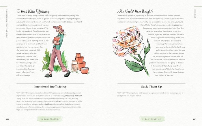 Garden lifestyle illustrations across four seasons