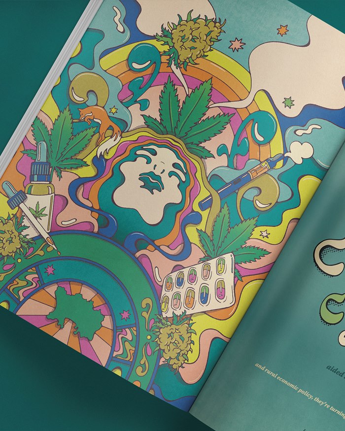 The growth of a medicinal cannabis industry in Jersey