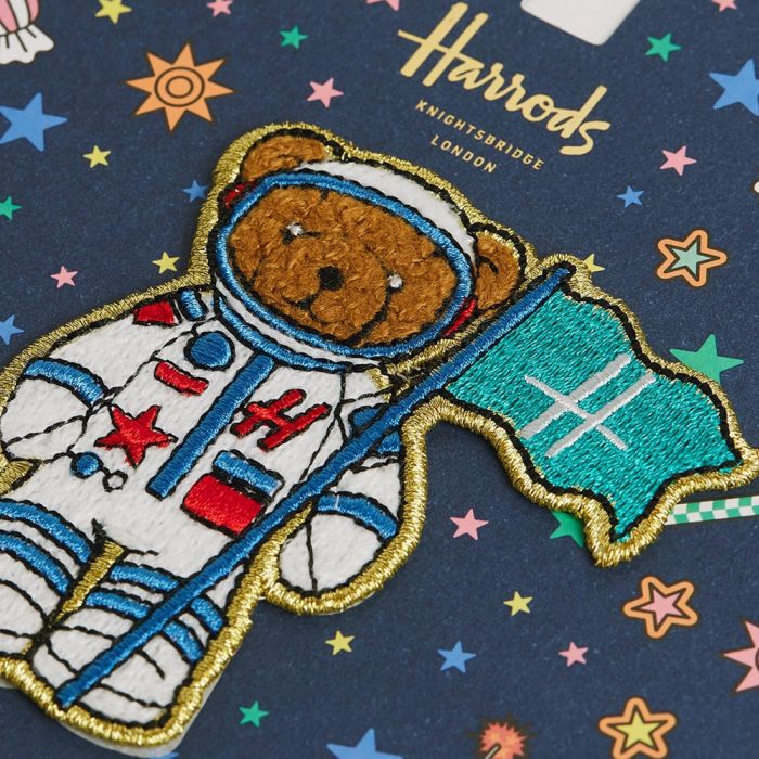 Bear in Space