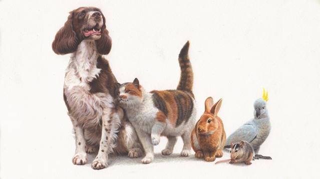 Oil painting of pets for Jersey Post