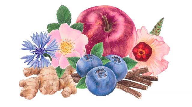 Realistic painting of Fruits and Flowers